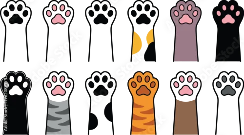 Fototapeta Collection of diverse feline paw prints in various colors and patterns