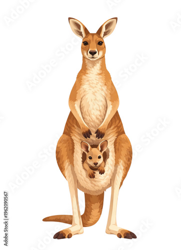 Cute brown kangaroo vector illustration of a mother with her baby isolated on a white background in a funny cartoon drawing style