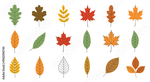 Large collection of different autumn leaves in various shapes and fall colors like orange, red, yellow, and green for nature and seasonal design elements.