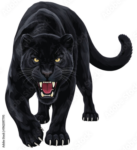 An adorable young black and white kitten with soft fur and bright eyes sits as a domestic feline portrait isolated on a white background in a professional studio