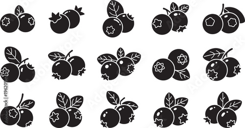 Black and white blueberry vector illustrations set, showcasing ripe berries with leaves in various arrangements for healthy food and culinary designs