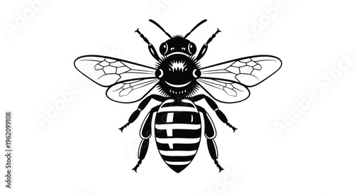 Detailed black and white engraving style illustration of a honey bee with open wings on a plain white background.
