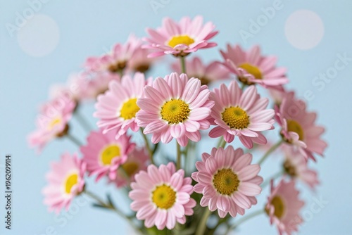 A bunch of pink flowers with a blue background