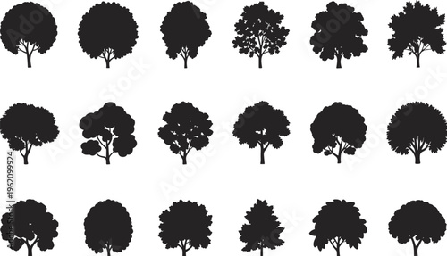Silhouette illustration collection of twenty diverse tree shapes with unique canopy structures, branching patterns, seasonal forest artwork, botanical diversity, natural design inspiration