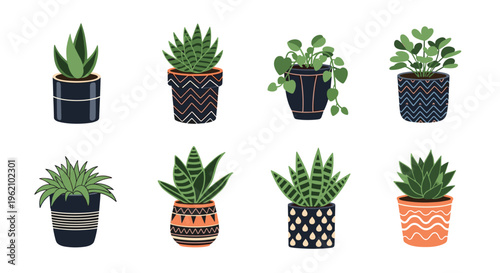 Array of indoor houseplants and succulents in decorative ceramic pots with unique patterns for home interior decoration and gardening.