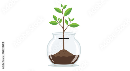A small green plant grows in a clear glass fishbowl filled with brown soil against a white background.