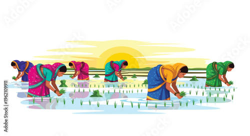 Six Indian women in colorful saris are planting rice seedlings in a flooded paddy field at sunset.