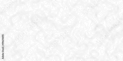 Contour abstract map relief land outline. Topographic map patterns. White wave paper curved reliefs abstract background. Background of the topography map. Abstract pattern with lines.
