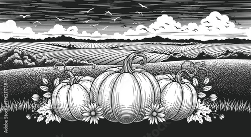 Atmospheric black and white engraving of a group of pumpkins in a vast field under a dramatic cloudy sky and birds.