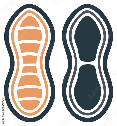 Peanut vector illustration design. A creative stylized graphic depicting two peanuts with detailed inner designs. Simple, clean, and isolated.
