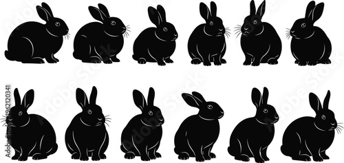 Collection of twelve black rabbit silhouette illustrations in sitting poses, perfect for wildlife education, animal studies, design projects, pattern recognition, and creative artwork applications.