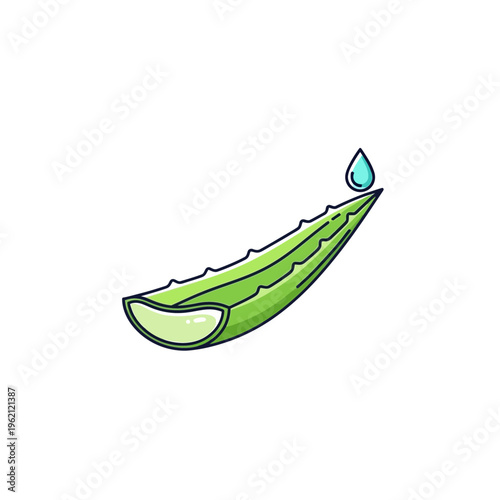 Fresh green aloe vera leaf icon featuring a simple line art design with a prominent, hydrating liquid drop, ideal for promoting organic skincare and wellness benefits and natural product labeling