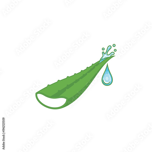 Aloe vera leaf with a water droplet, representing natural skincare and hydration benefits