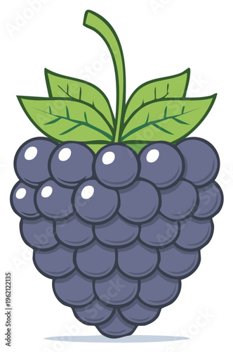 A single ripe blackberry fruit illustration with green leaves and stem cartoon vector graphic