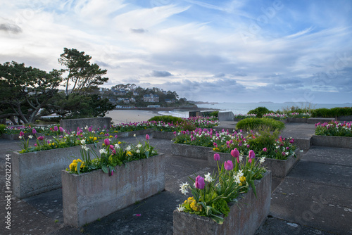 Jolis parterres de tulipes au-dessus de la plage Trestraou à Perros-Guirec en Bretagne - France