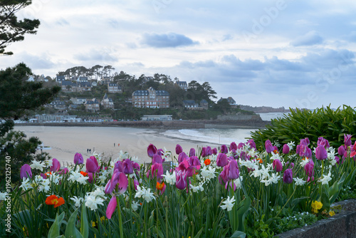 Jolis parterres de tulipes au-dessus de la plage Trestraou à Perros-Guirec en Bretagne - France
