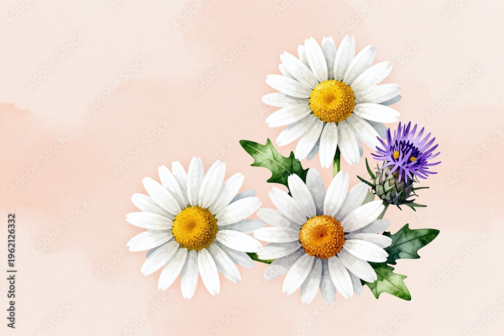 Obraz premium A watercolor painting of daisies and other flowers on a white background