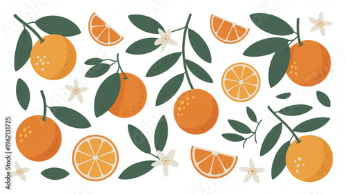 A collection of fresh orange fruits featuring leafy stems orange slices and delicate white flowers Vector