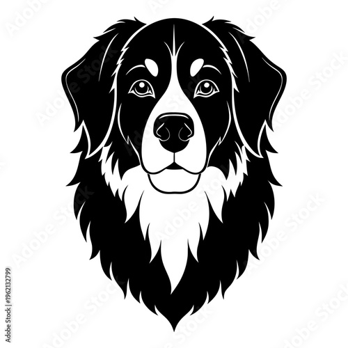 BERNESE MOUNTAIN HEAD