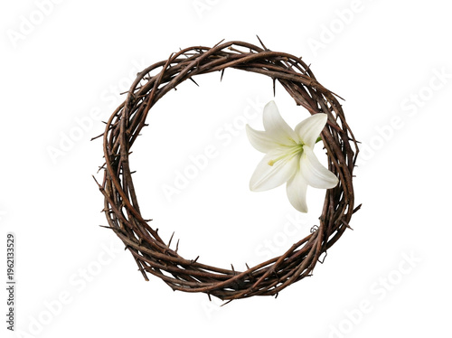 Crown of Thorns with White Lily