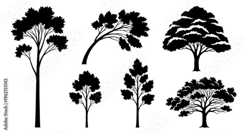 Vector Tree Silhouettes Collection - Various Styles