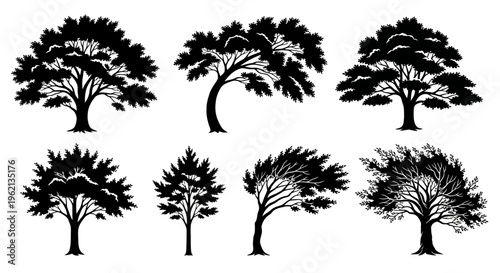 Vector Silhouettes of Diverse Tree Shapes and Styles