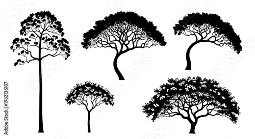 Silhouette Trees Collection: Diverse Shapes and Sizes on White Background
