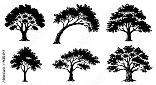 Silhouette Trees Collection: Diverse Shapes and Styles