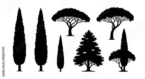 Various Tree Silhouettes Collection - Nature Design Elements