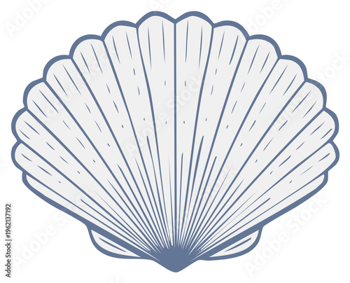 Scallop shell illustration with radiating lines and scalloped edges in blue and white.