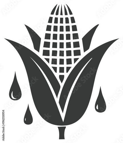 Corn Ear with Leaves and Dripping Drops as Plant-Based Ingredient