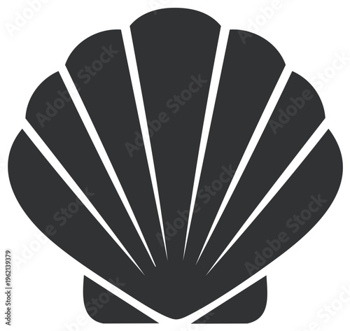 Stylized dark grey seashell graphic design with radiating lines