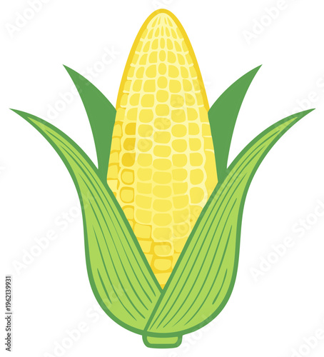 Stylized graphic of corn on the cob with husk, isolated against white background for use in food illustrations.