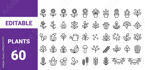Flowers editable stroke outline icons set isolated on transparent background flat vector illustration.
