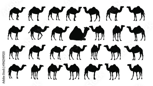 Collection of black silhouette camel images in various poses