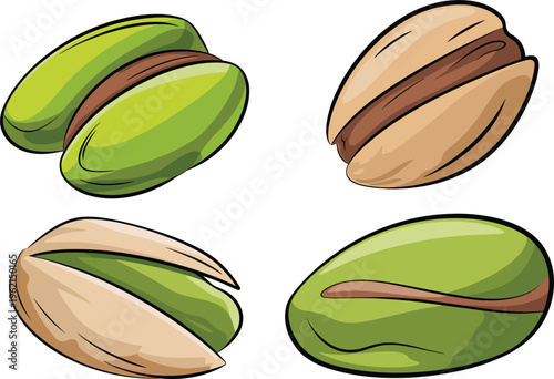 Pistachio nuts vector set with shell and kernel variations, hand drawn food illustration collection isolated