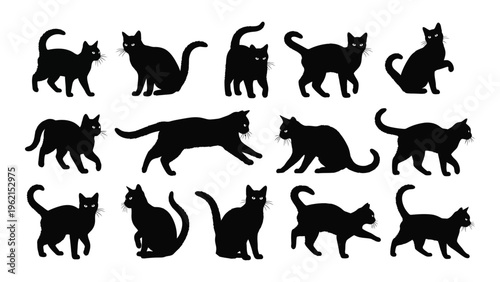 Collection of black cat silhouettes in various poses