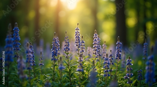 Vibrant bluebell forest scene illuminated by soft sunlight through the trees