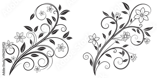 Elegant floral vine with flowers and leaves design eps 10