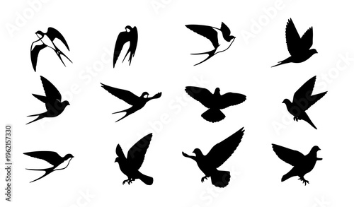 Minimal flying bird silhouettes set with swallows doves and pigeons clean vector collection