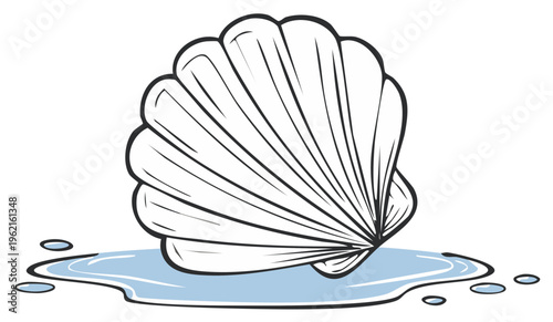 Seashells graphic illustration standing in a puddle of water on white background