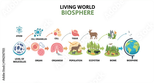 Living World Biosphere Infographic Showing Levels of Biological Organization from Atom to Ecosystem, Biome and Biosphere for Science Education and Biology Learning