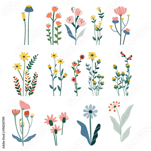 Spring Flowers Illustration Set Isolated – Floral Blossoms Collection for Design and Decoration