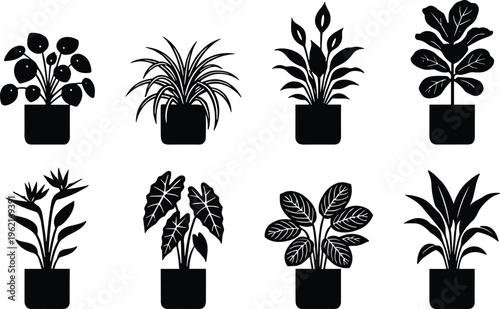 WebPotted house plants silhouette set, fiddle leaf fig, peace lily, spider plant, and bird of paradise, indoor greenery, isolated vector.