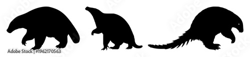 Pangolin silhouette set with solid black outline in defensive walking stance featuring endangered, conservation, wildlife icon with rare species and protective posture