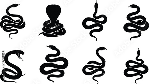 WebSnake silhouette set, cobra and python vector collection, black serpent icons, reptile graphic elements, viper and mamba silhouettes for design