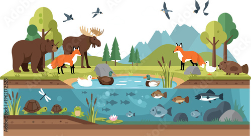 Forest Ecosystem and Wildlife Habitat Illustration Featuring Bear, Moose, Fox, Birds, Pond Fish, Turtles and Aquatic Life in Natural Landscape Environment