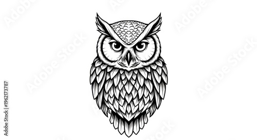 Detailed owl illustration on white background for design and print projects