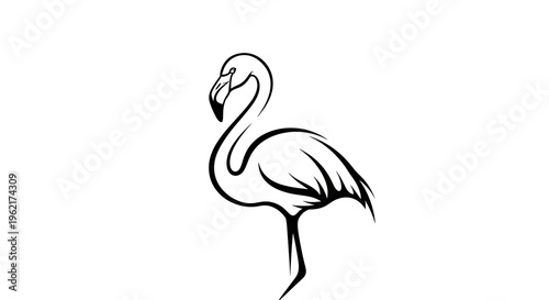 Elegant black and white flamingo silhouette on white background