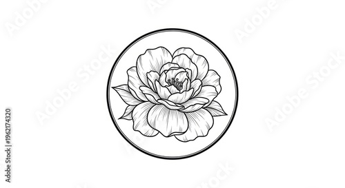 Elegant black and white floral illustration in a circular frame on white